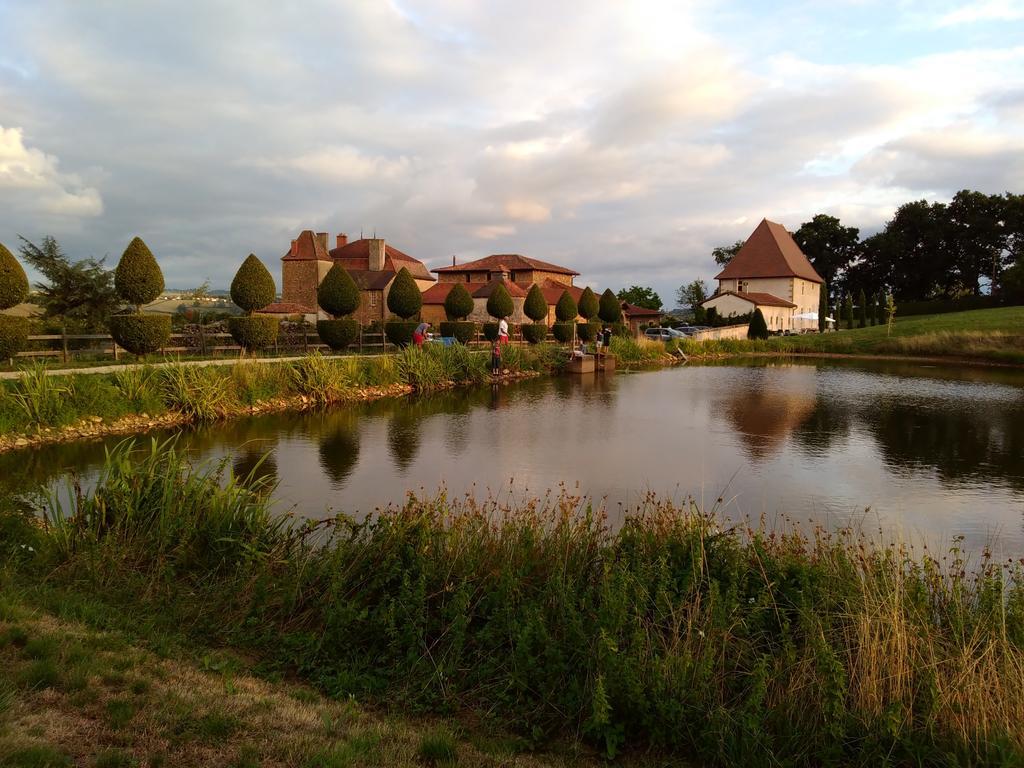 Bed and Breakfast Manoir De Malfarat Charlieu Esterno foto