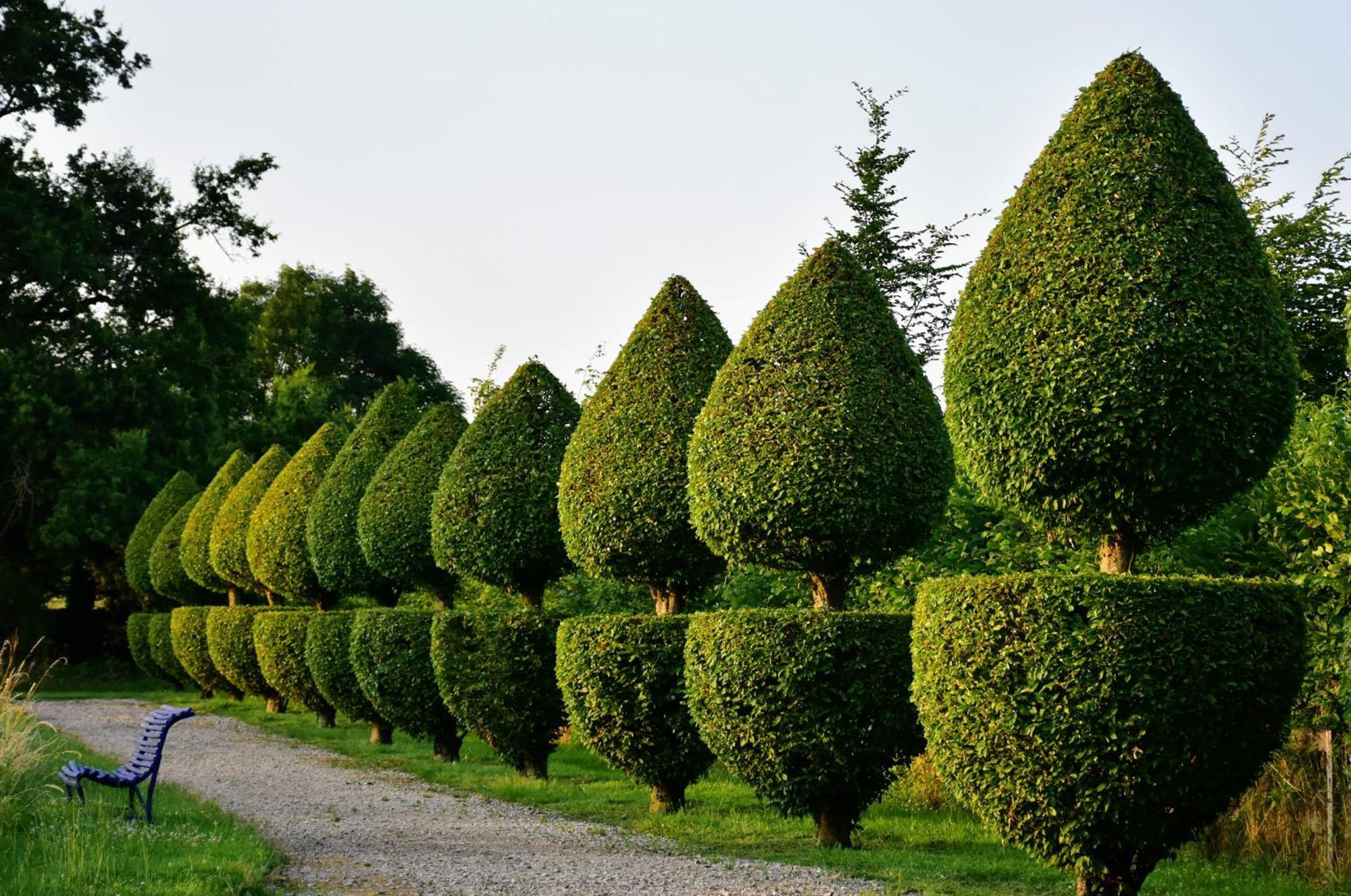Bed and Breakfast Manoir De Malfarat Charlieu Esterno foto
