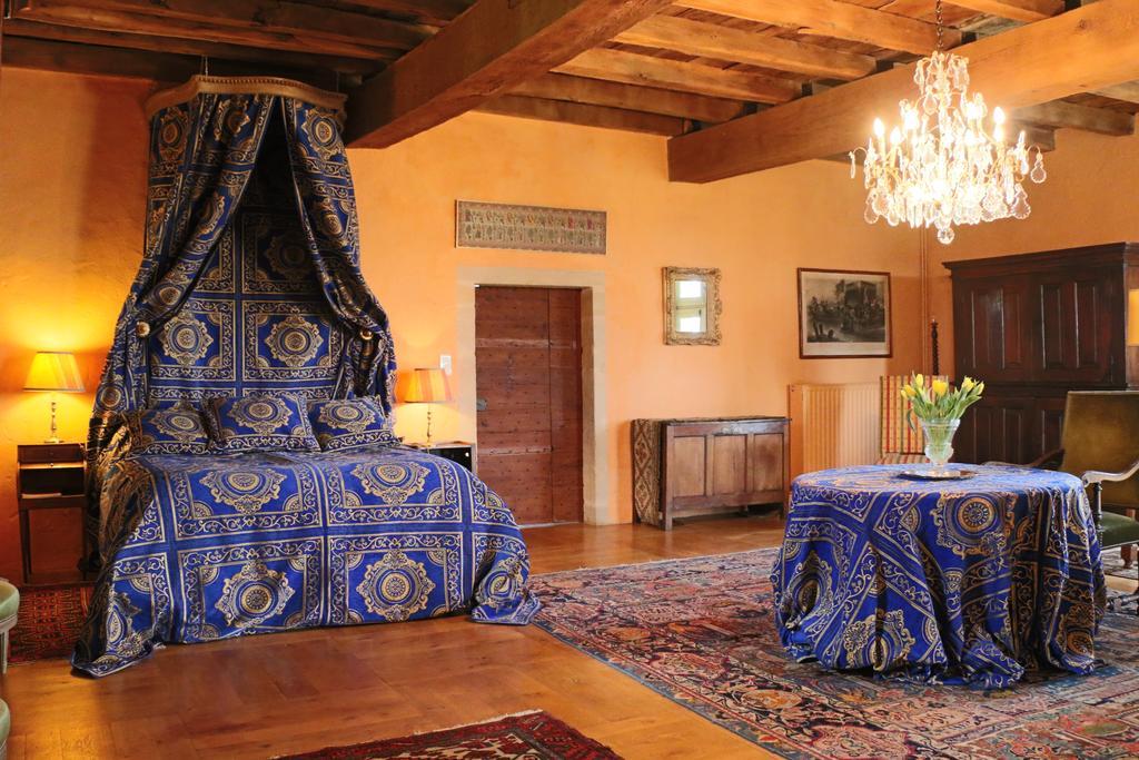 Bed and Breakfast Manoir De Malfarat Charlieu Esterno foto