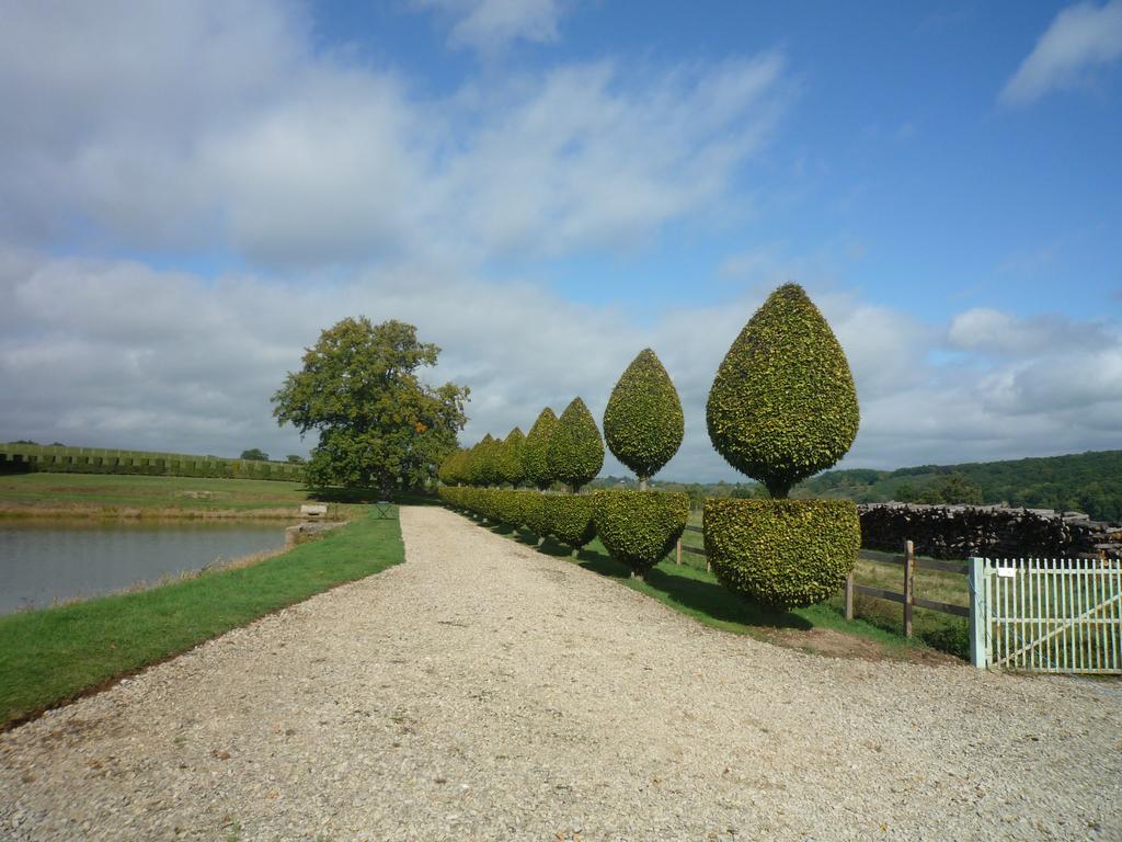 Bed and Breakfast Manoir De Malfarat Charlieu Esterno foto